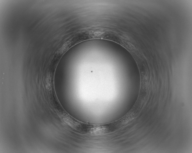 X0000060560274200511171613