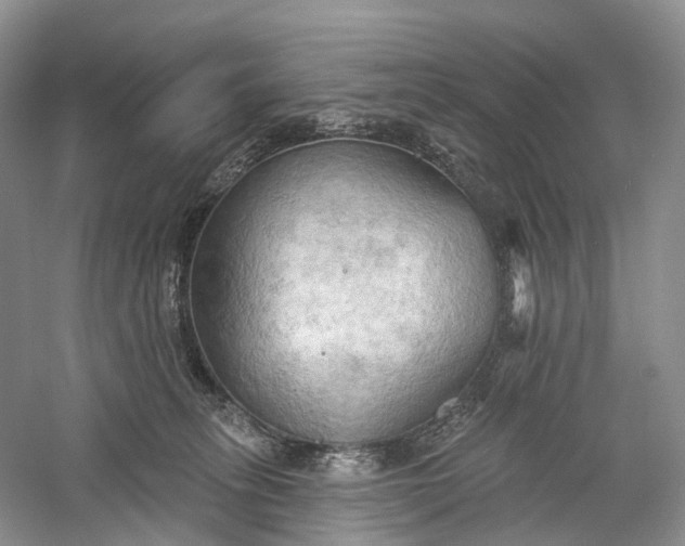 X0000060560275200511171613