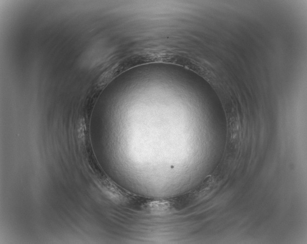 X0000060560279200511171613