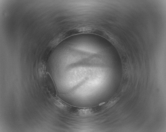 X0000060560281200511171613