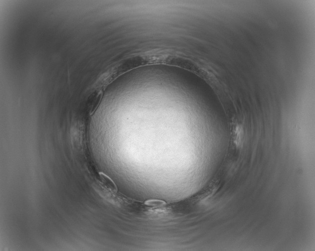 X0000060560283200511171613