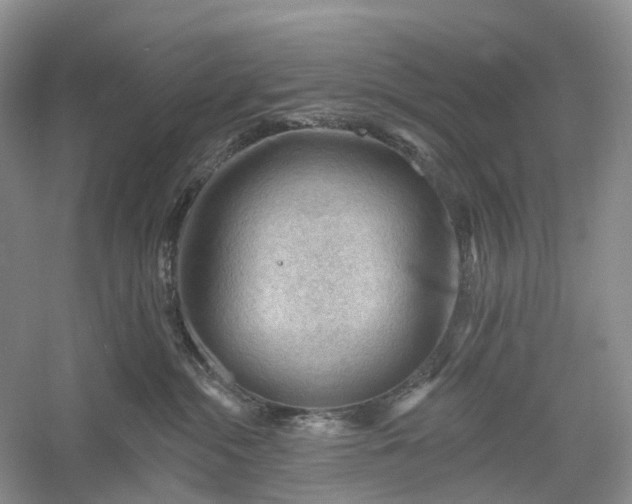 X0000060560284200511171613