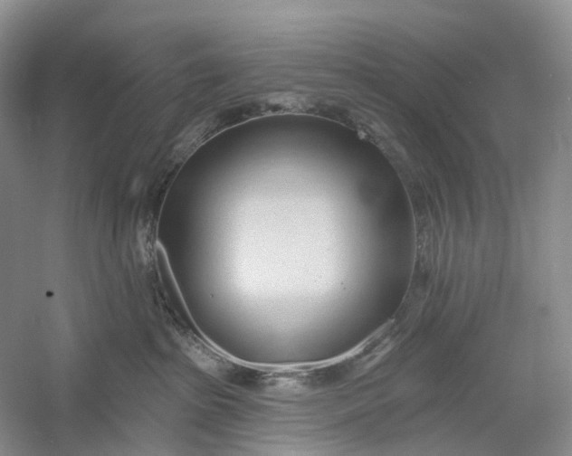 X0000060560285200511171613