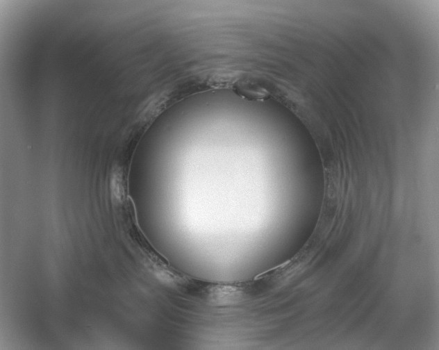 X0000060560287200511171613