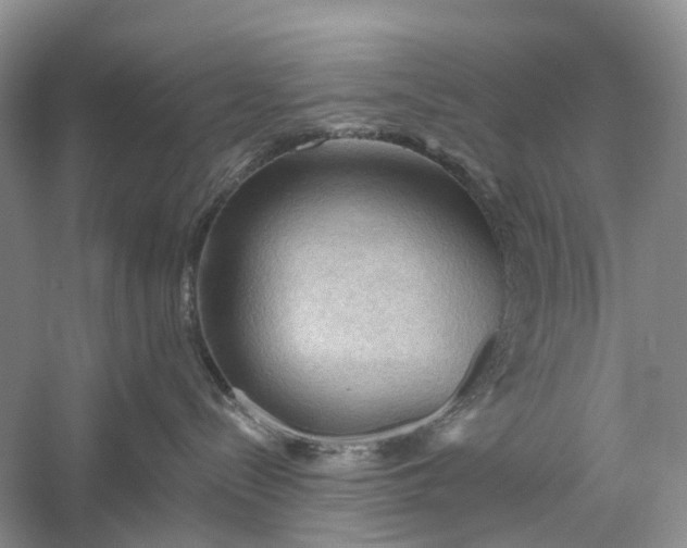 X0000060560288200511171613