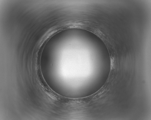 X0000060560291200511171612