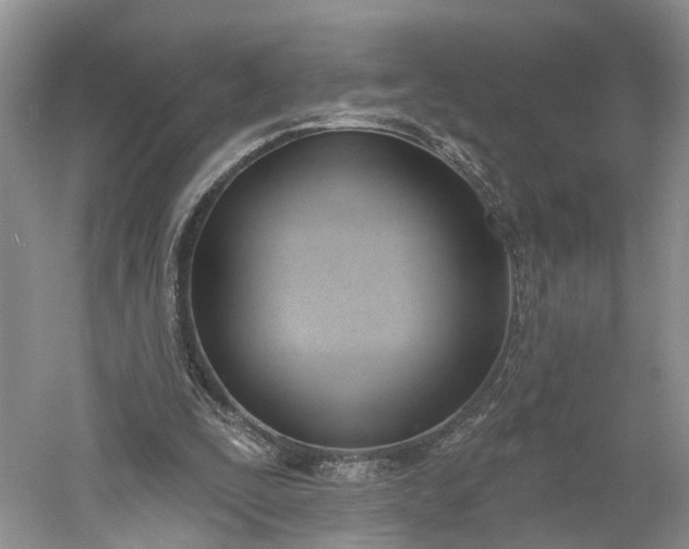 X0000060560295200511171612