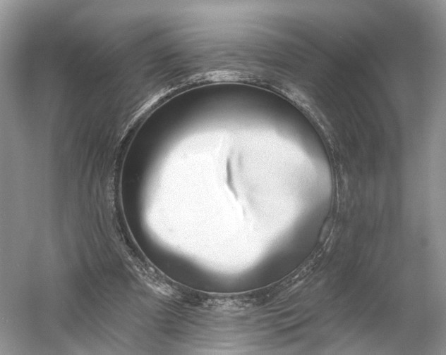 X0000060560297200511171612