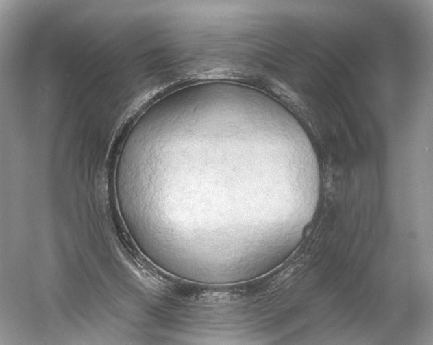 X0000060560298200511171612