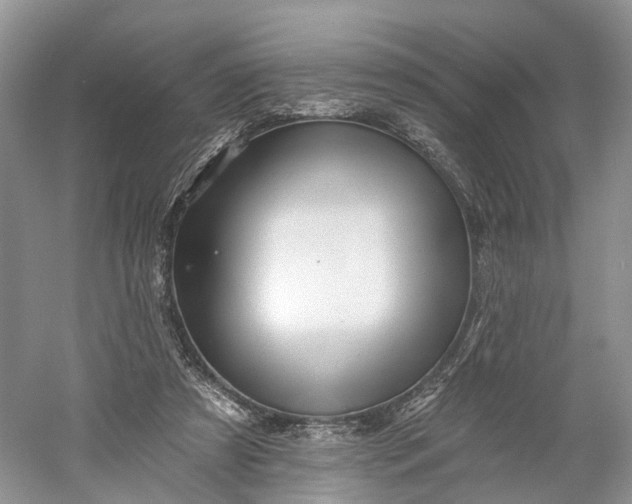 X0000060560305200511171612