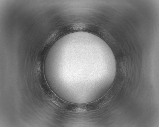 X0000060560308200511171612