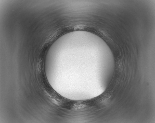 X0000060560311200511171612