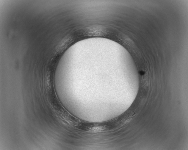 X0000060560312200511171612