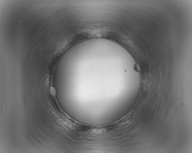 X0000060560314200511171612