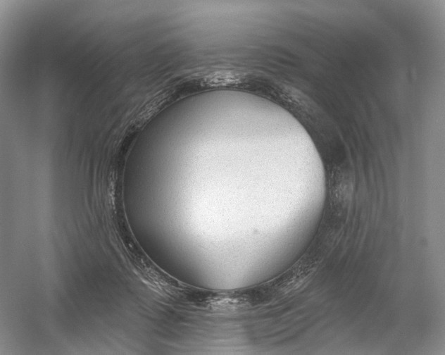 X0000060560315200511171612