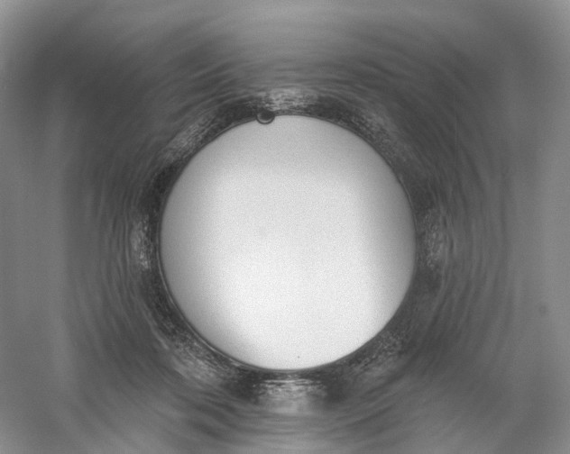 X0000060560316200511171612