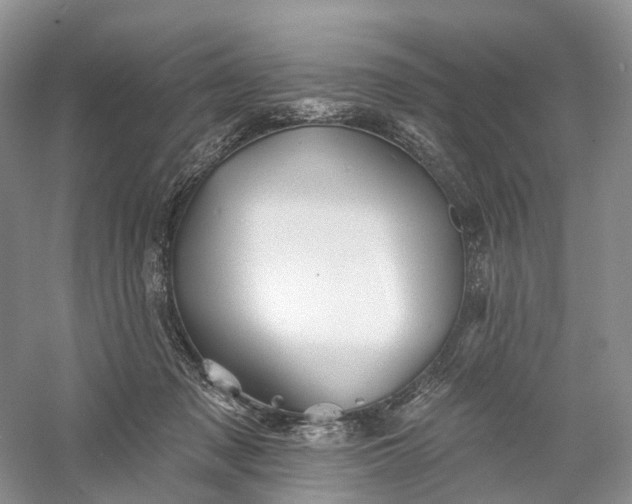 X0000060560317200511171612