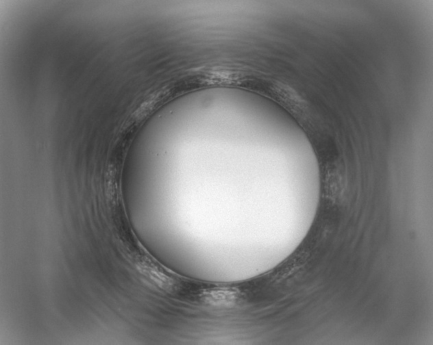 X0000060560318200511171612
