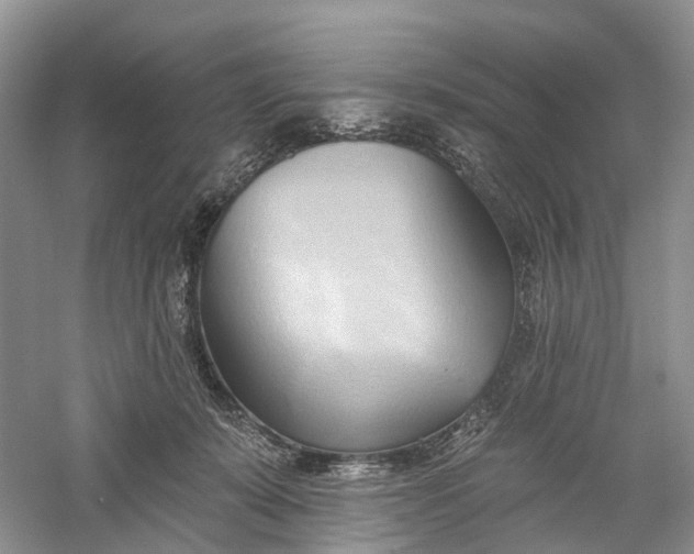 X0000060560319200511171612