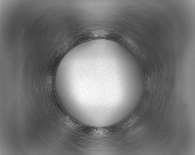 X0000060560321200511171612