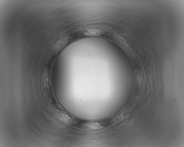 X0000060560322200511171612