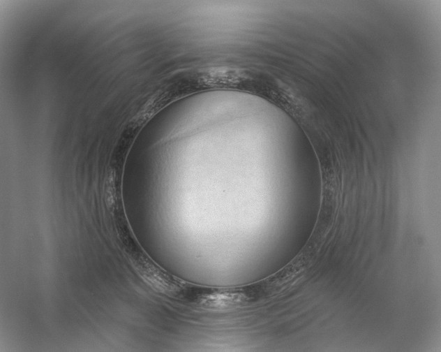 X0000060560323200511171612