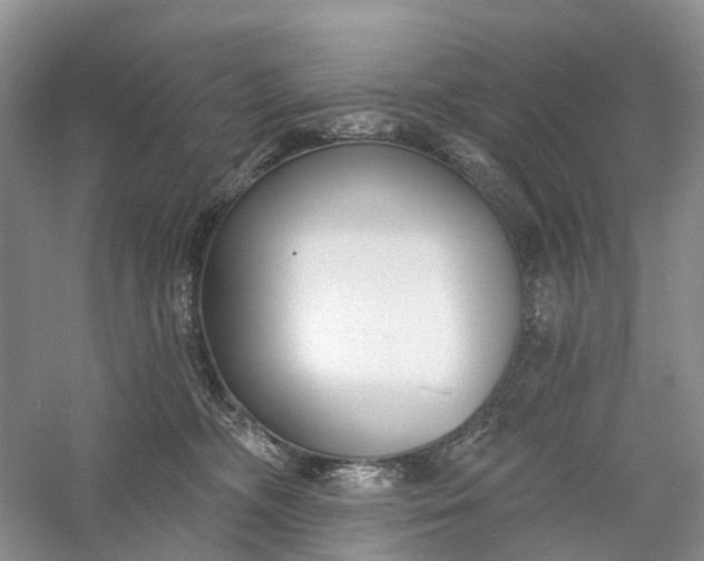 X0000060560326200511171612