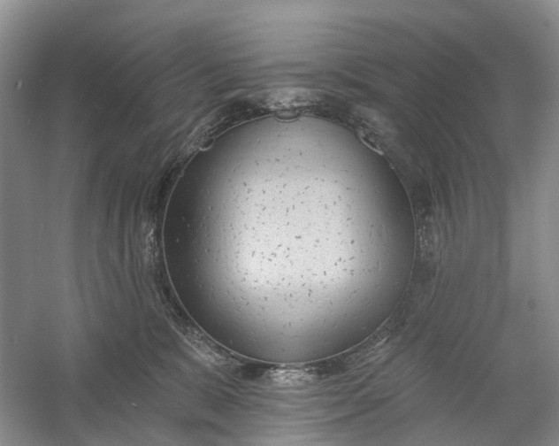 X0000060560327200511171612