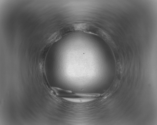 X0000060560329200511171612