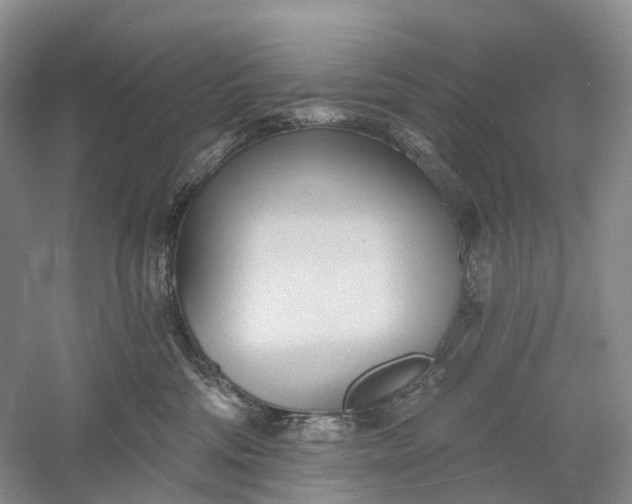 X0000060560330200511171612