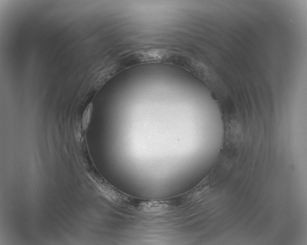 X0000060560331200511171612