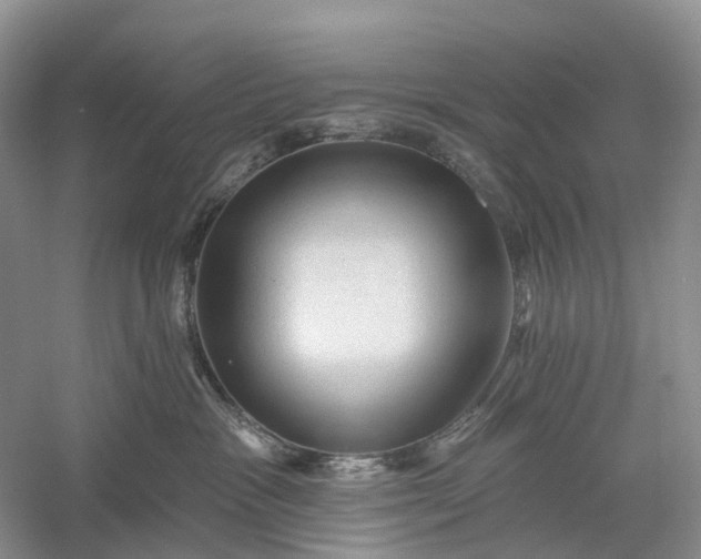 X0000060560333200511171612