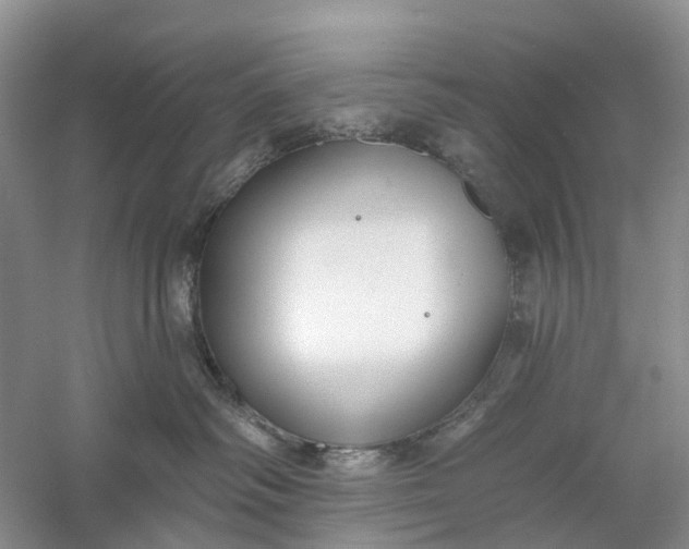 X0000060560334200511171612