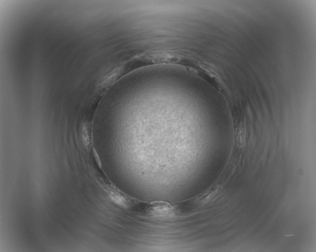 X0000060560335200511171612