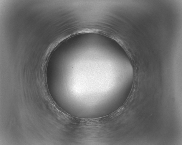 X0000060560337200511171611