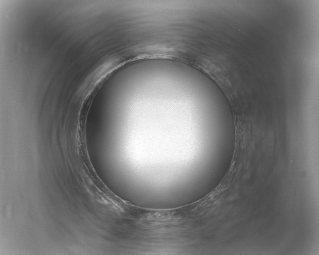 X0000060560338200511171611