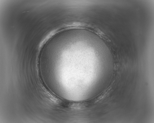X0000060560341200511171611