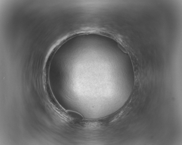 X0000060560342200511171611