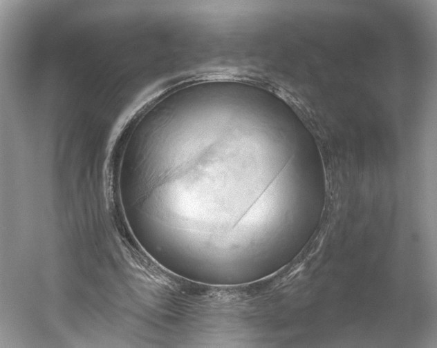 X0000060560343200511171611