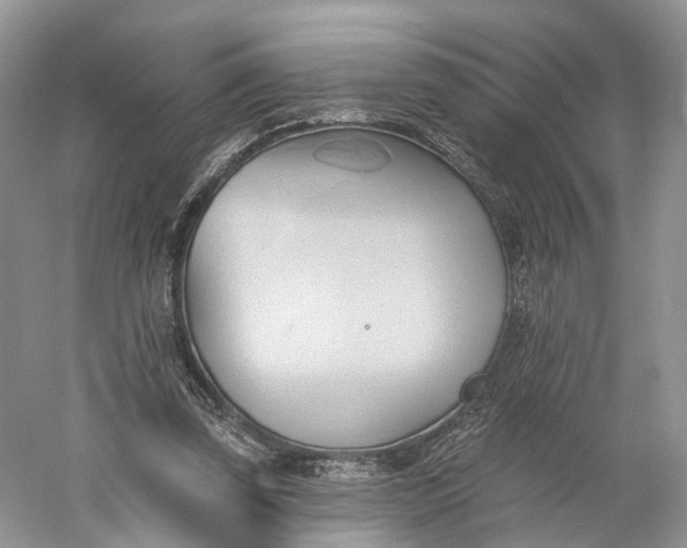 X0000060560347200511171611