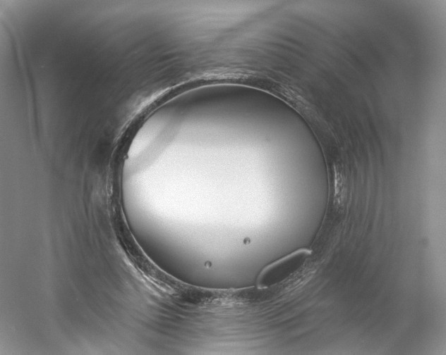 X0000060560348200511171611
