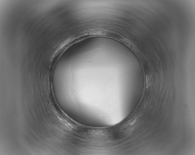 X0000060560349200511171611