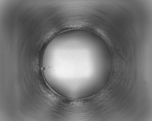 X0000060560354200511171611