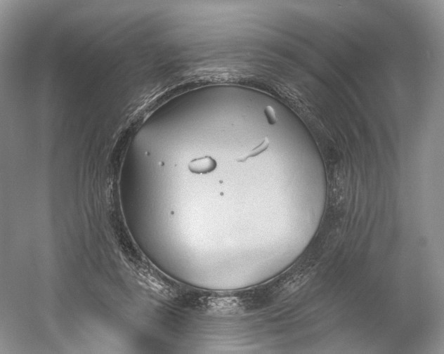 X0000060560355200511171611