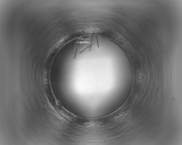 X0000060560356200511171611