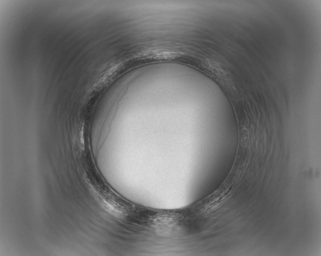 X0000060560358200511171611