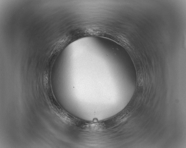 X0000060560365200511171611
