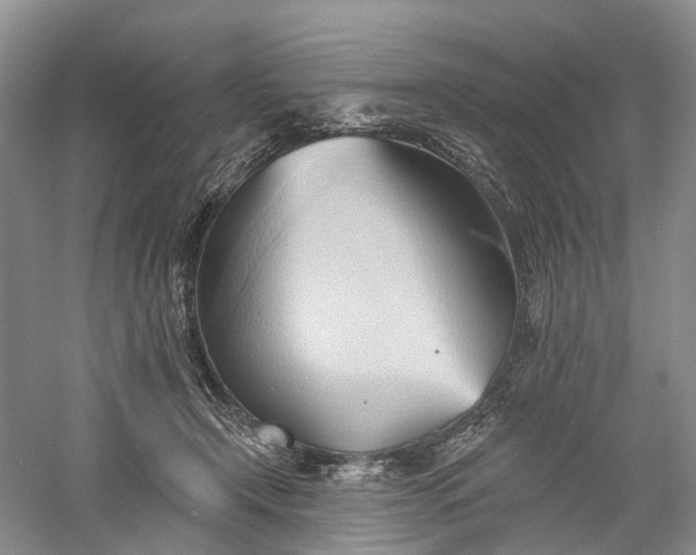 X0000060560366200511171611