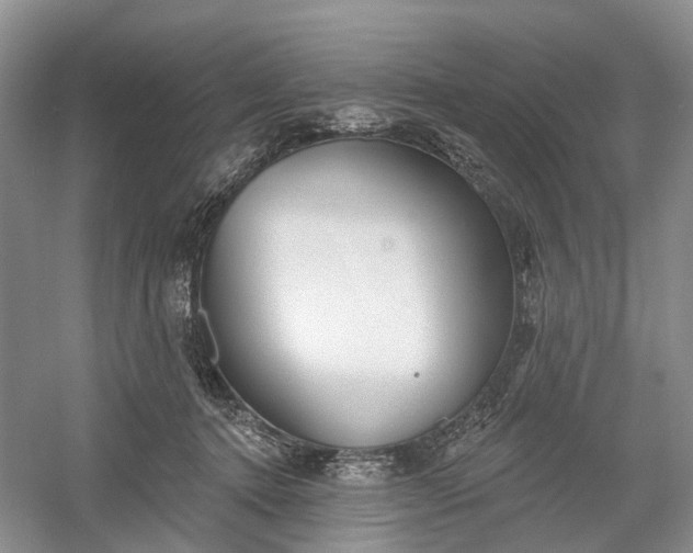 X0000060560368200511171611