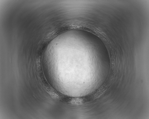 X0000060560369200511171611